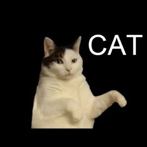 Meet your Posher, Nicolette